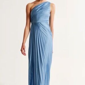 Abercrombie and Fitch One Shoulder Pleated Maxi Dress